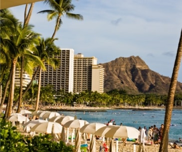 Image : Waikiki Beach