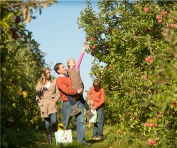 Apple Crest Farm
