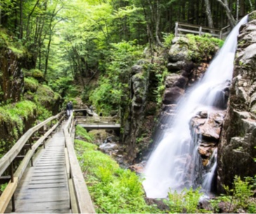 Flume Gorge