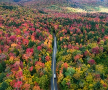 Image : Kancamagus Highway