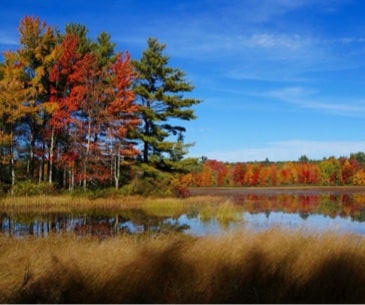 Image : Lake Winnipesaukee