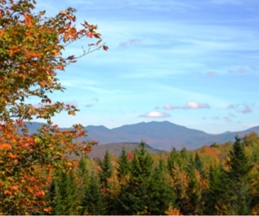 Image : White Mountain National Forest