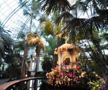 Image : New York Botanical Garden