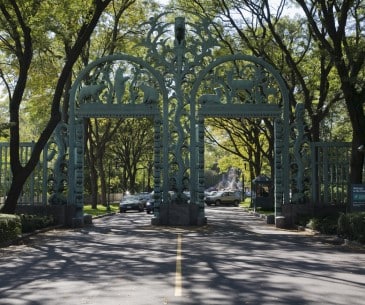 Image : Bronx Zoo