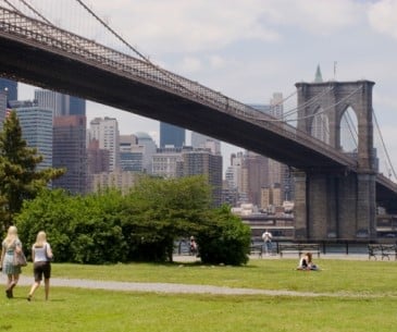 Image : Brooklyn