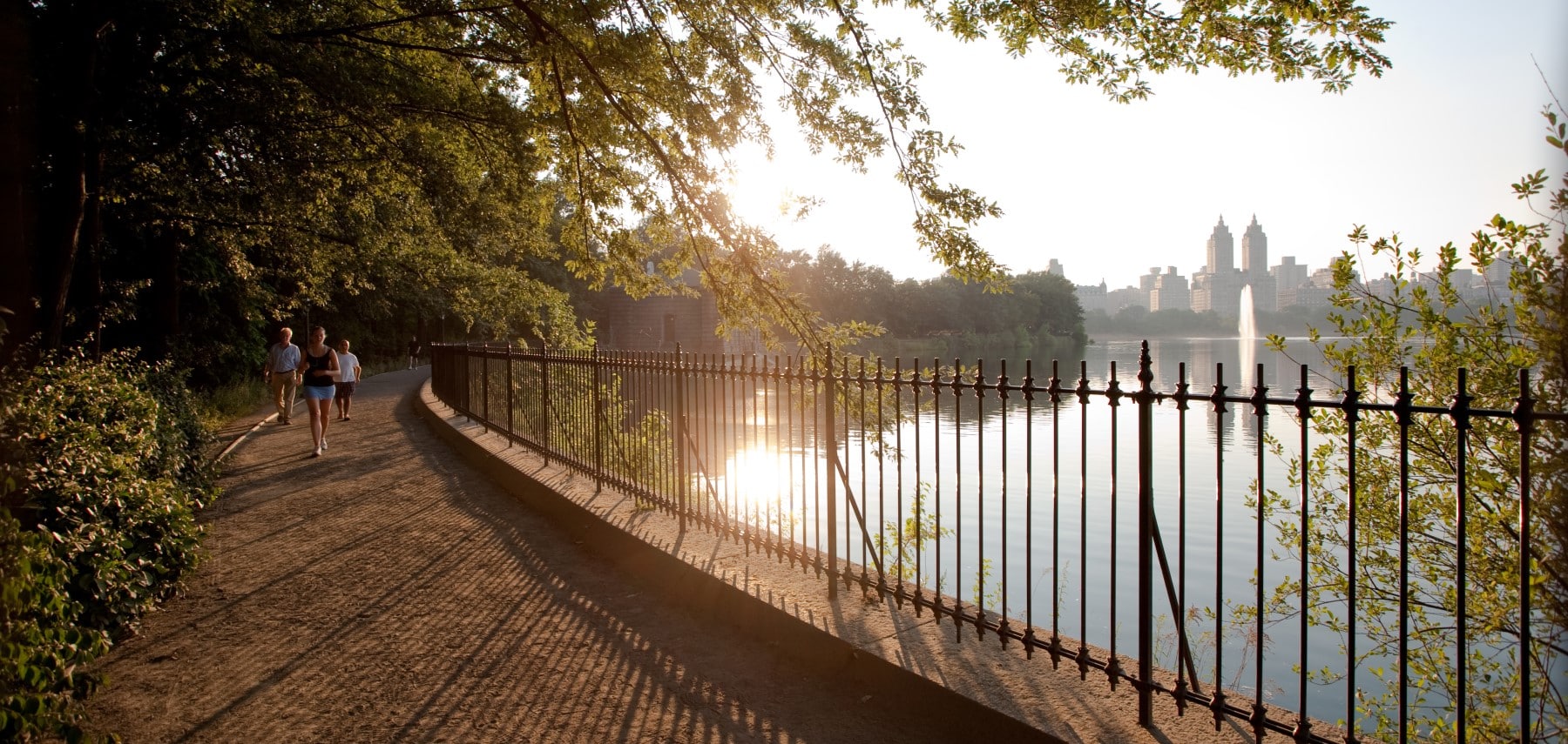 New-York-central-park-will-steacy