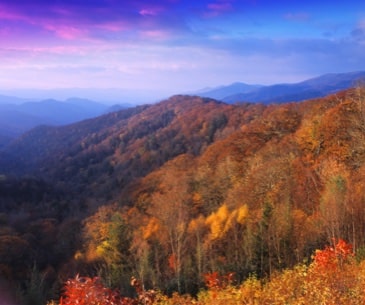 Image : Great Smoky Mountains National Park