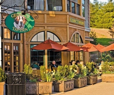 Image : Antler Hill Village