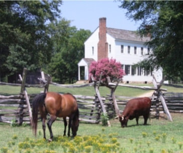 Image : Latta Plantation Nature Preserve