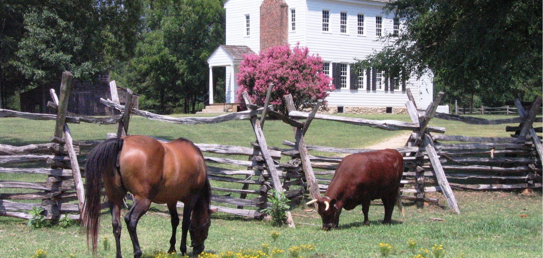 North-Carolina-latta-plantation-Nature-Preserve
