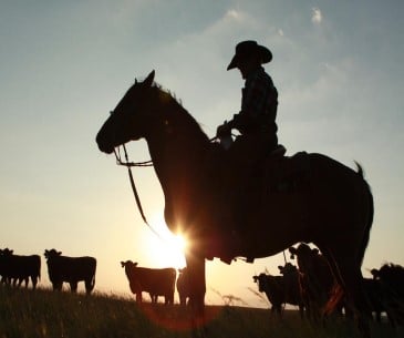 Image : Séjourner dans un ranch