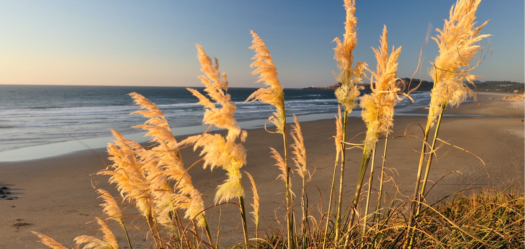 Cannon Beach, Oregon Coast,Oregon,USA