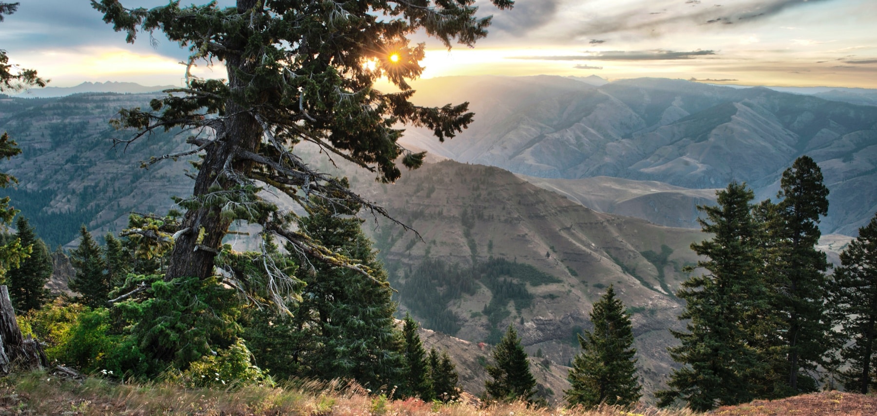Hells Canyon Overlook,Hells Canyon National Recreation Area, Eastern Oregon, Oregon, USA