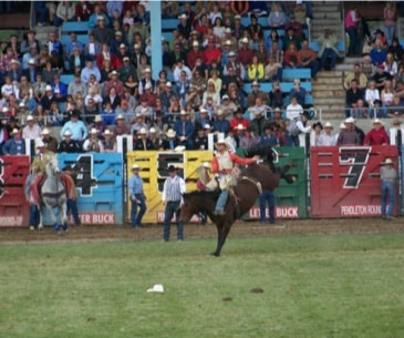 Image : Pendleton