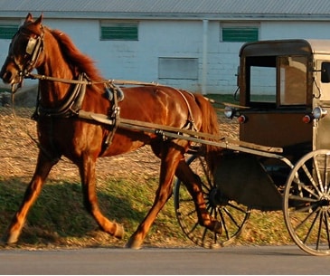 Image : La communauté Amish