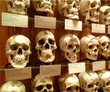 Image : Mütter Museum