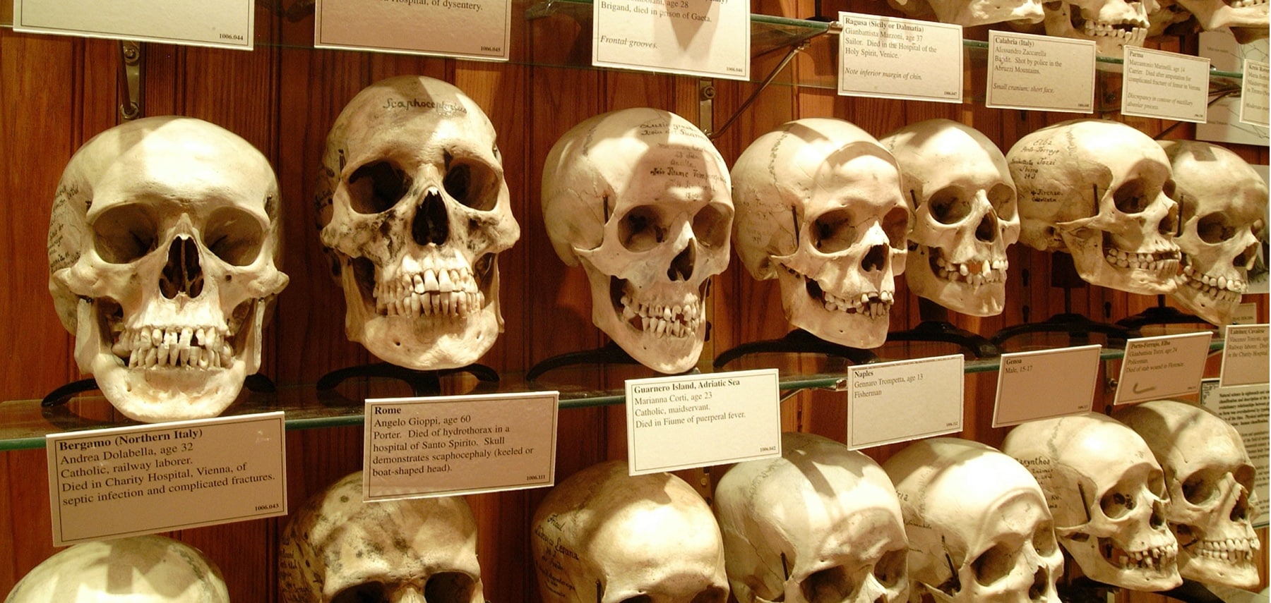 Pennsylvanie-mütter-museum-edward-savaria-pcvb