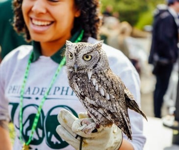 Image : Zoo de Philadelphie