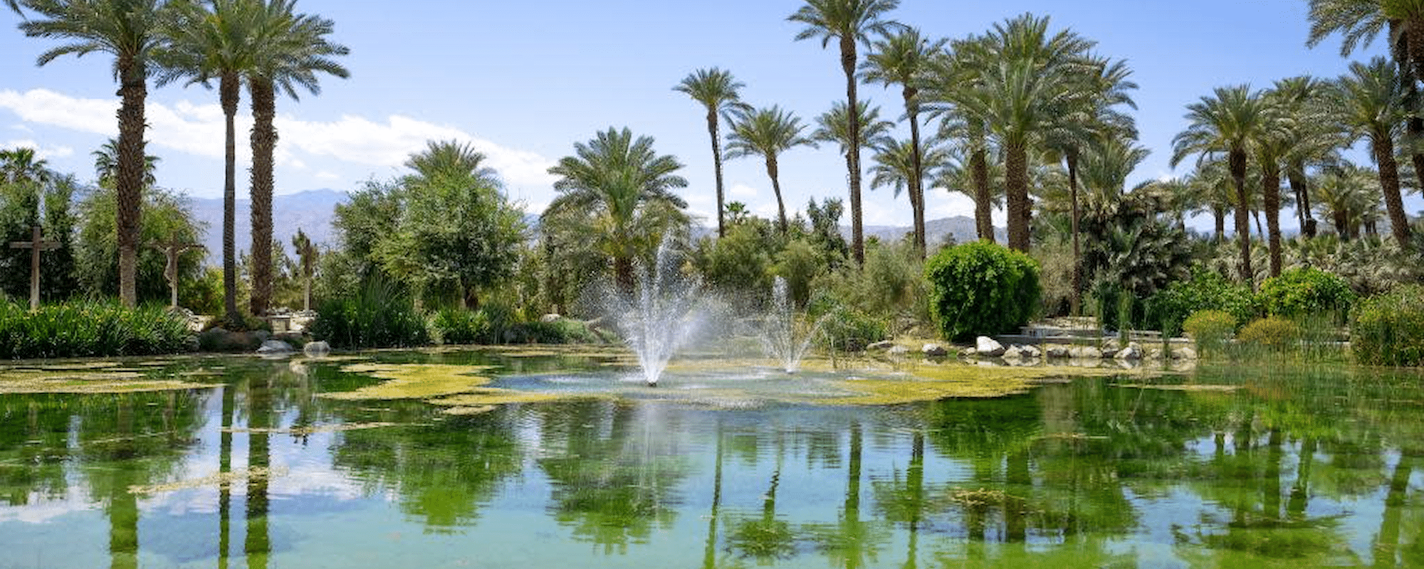 Shields Date Garden-1