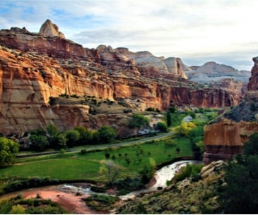 Image : Capitol Reef Ntl Park