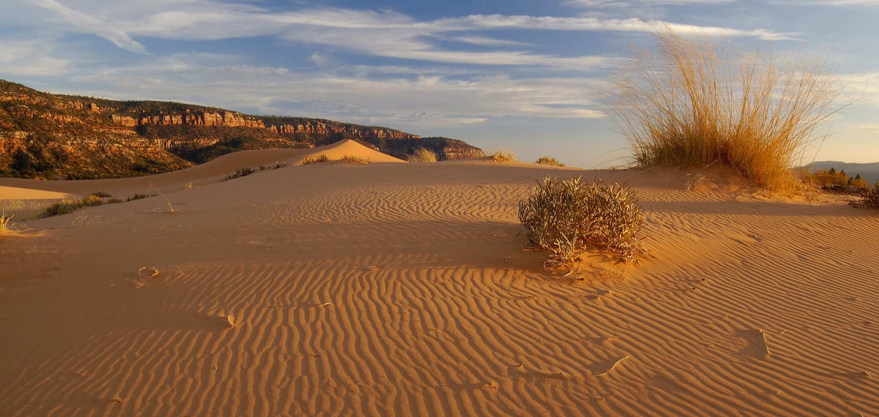Utah-Coral-Pink-Sand-Dunes-State-Park
