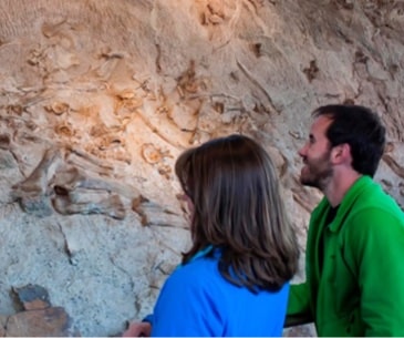 Image : Dinosaur Ntl Monument / Flaming Gorge