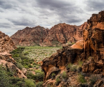 Image : Snow Canyon State Park
