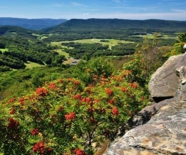 Image : Canaan Valley Resort State Park