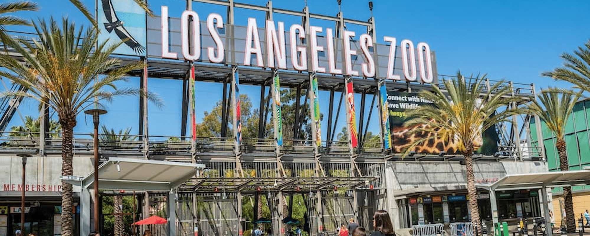 Zoo de Los Angeles-1