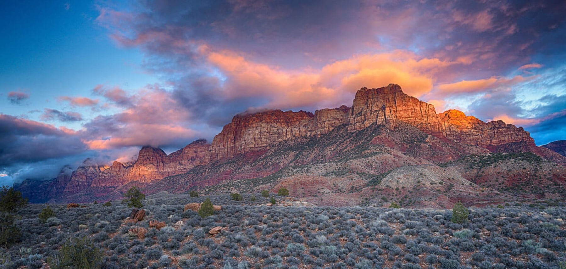 the-clearing-zion-utah-david-west_yji0zm