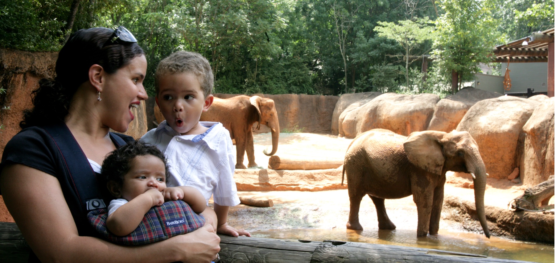 Georgie-Atlanta-Zoo