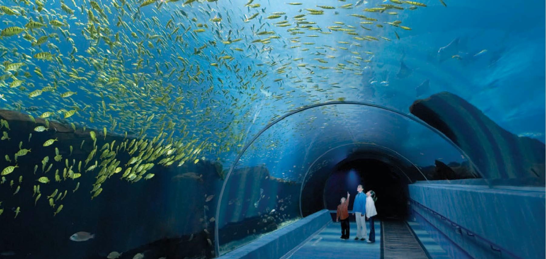 Georgie-Georgia-Aquarium