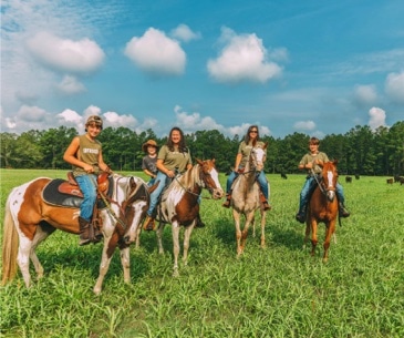 Image : Hunter Cattle Company
