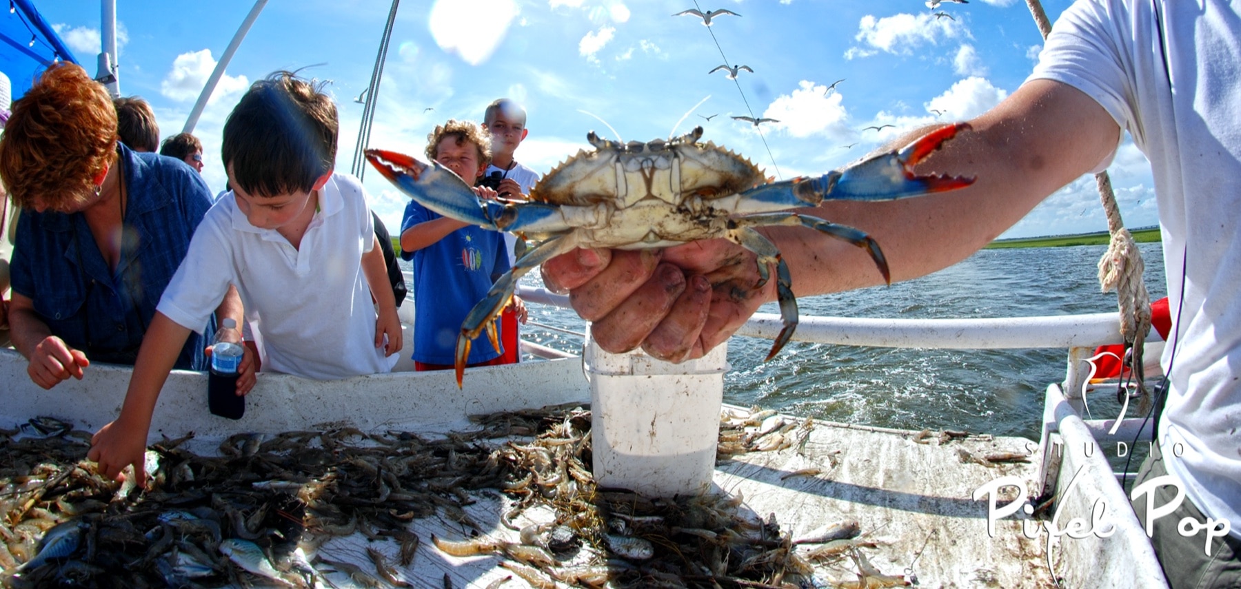 Georgie-Lady-Jane-Shrimpin-Ecological-Tours