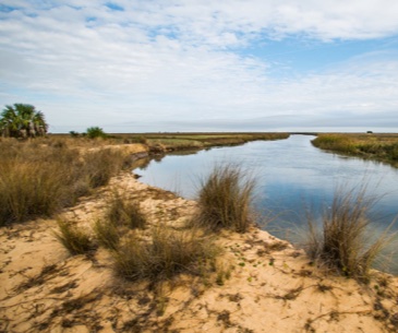 Image : Little St. Simons Island