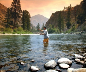 Image : Salmon Challis National Forest