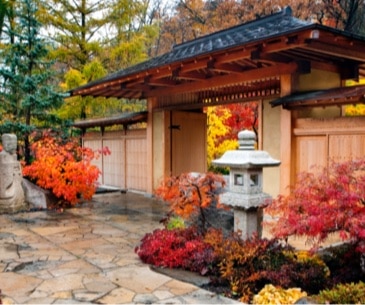 Image : Anderson Japanese Garden
