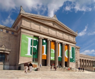 Image : Field Museum