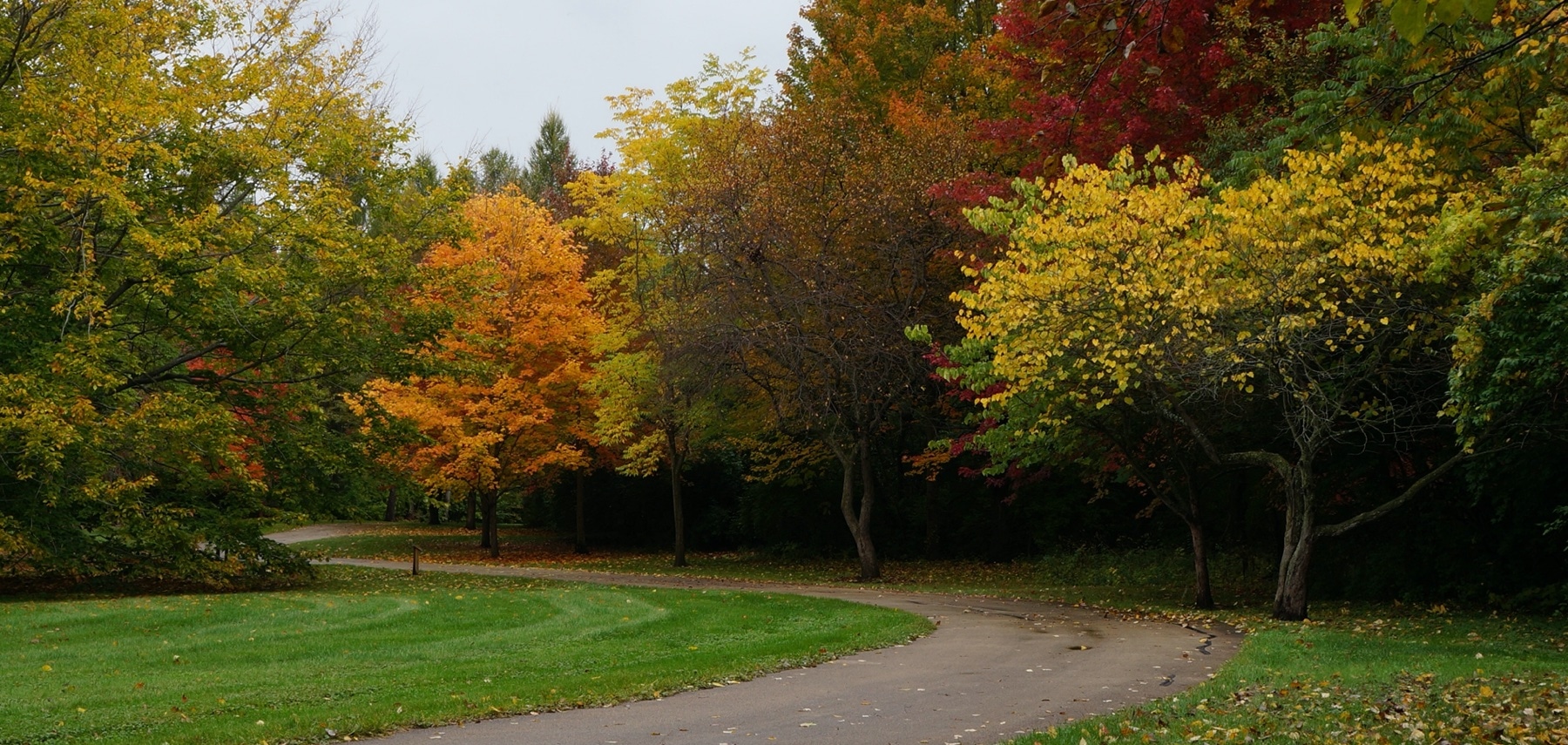 Illinois-Klem-Arboretum-and-Botanic-Garden