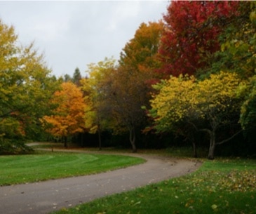 Image : Klehm Arboretum and Botanic Garden