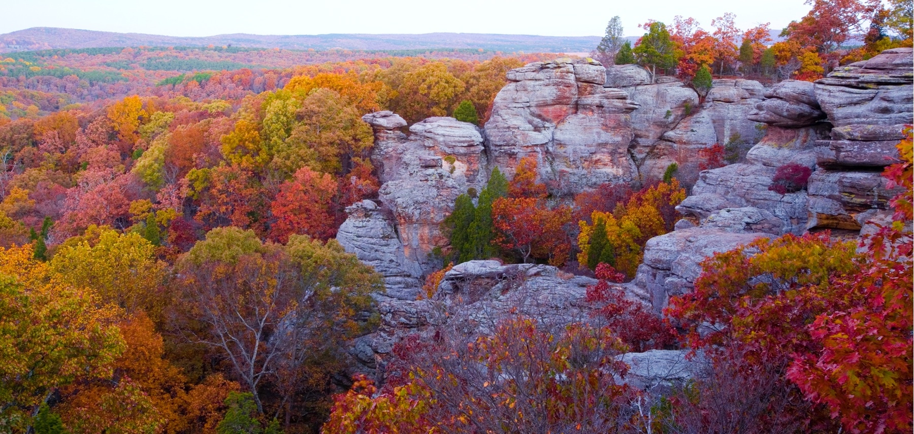 Illinois-Shawnee-National-Forest-photo-credit-Michael-Seroni