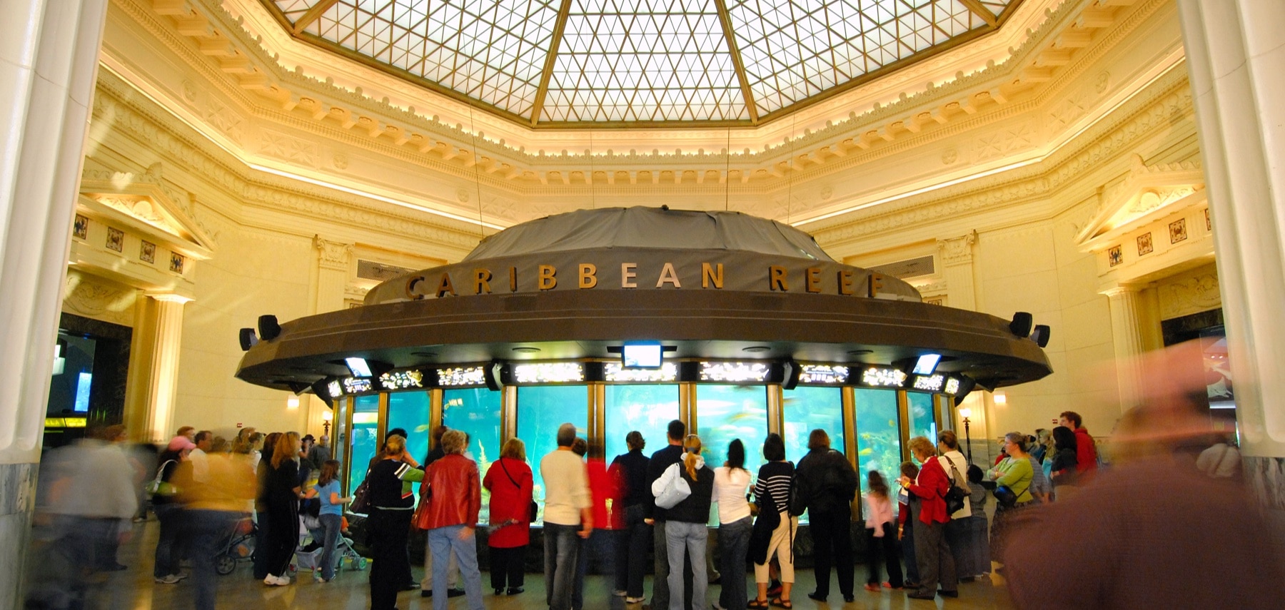 Illinois-Shedd-Aquarium