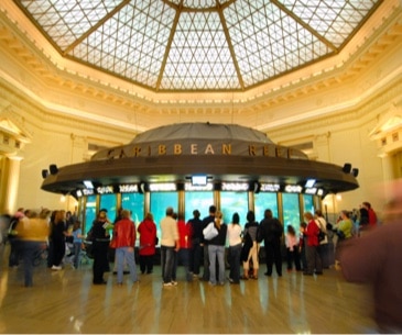 Shedd Aquarium