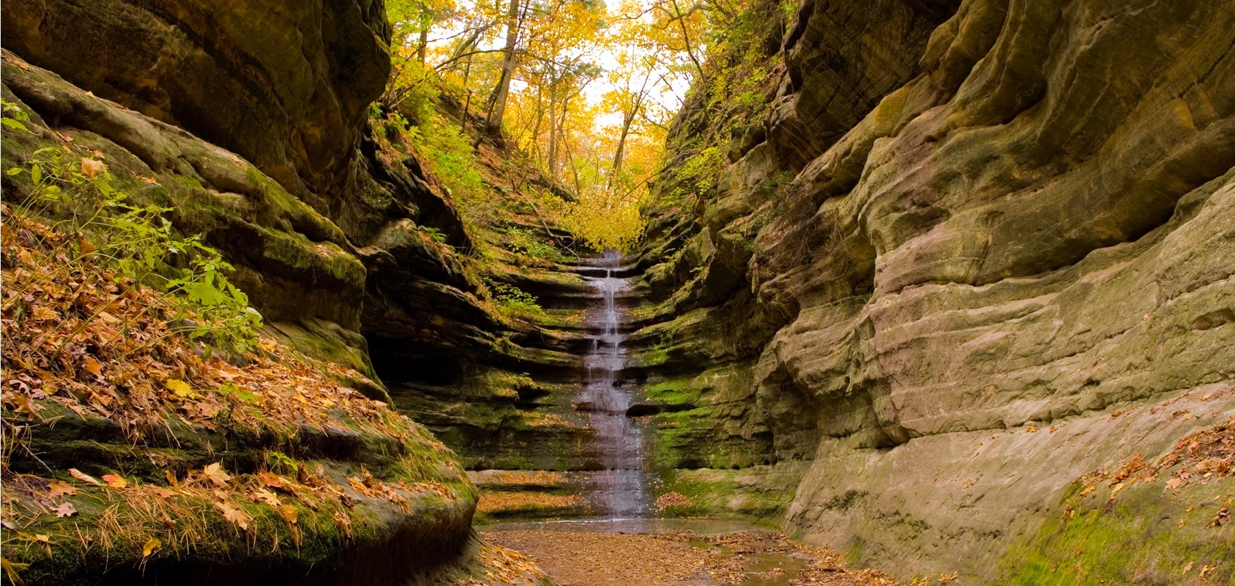 Illinois-Starved-Rock-State-Park-photo-credit-Michael-Seroni