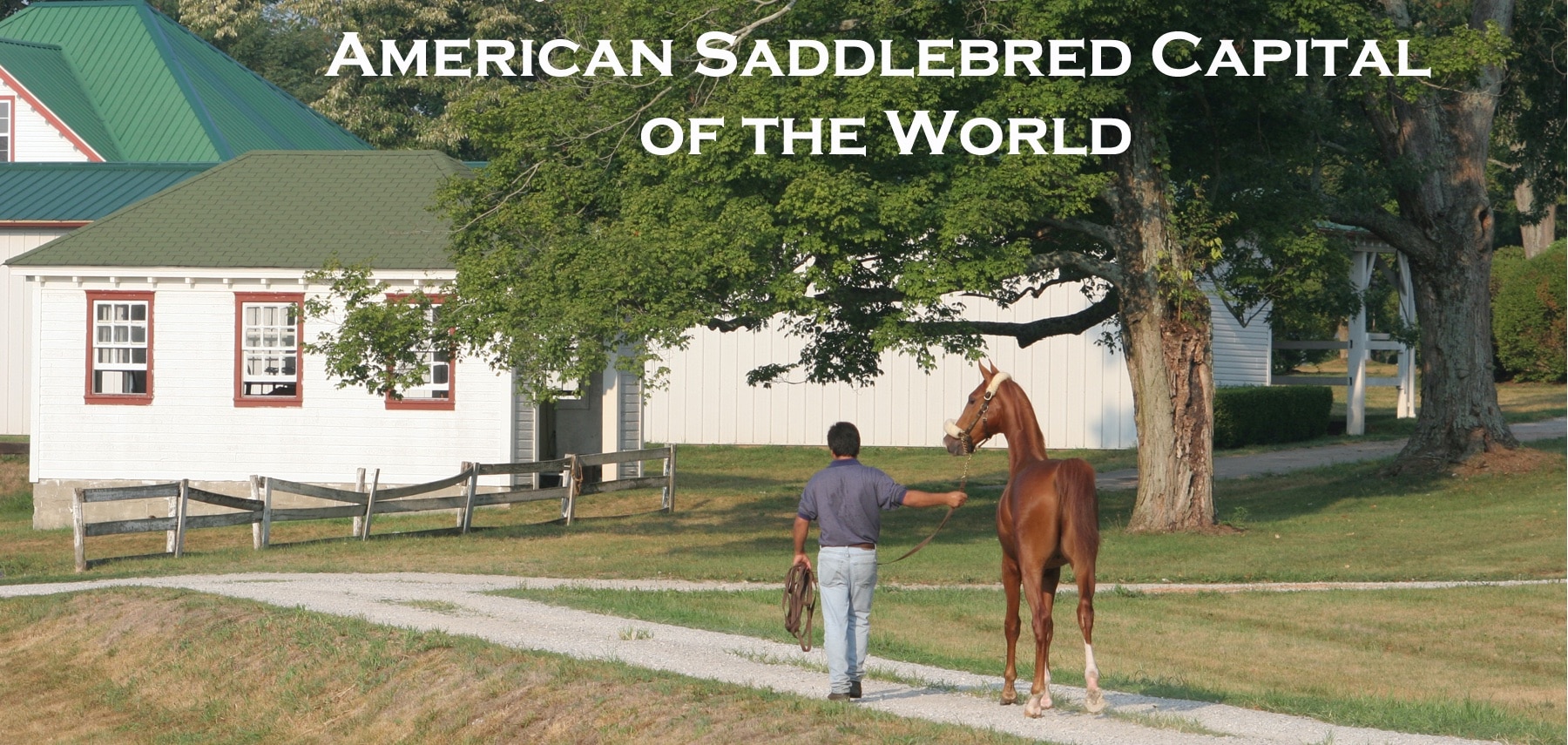 Kentucky-American-Saddlebred-Museum