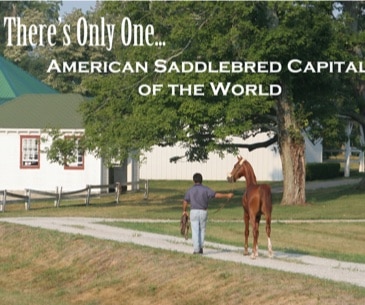 Image : American Saddlebred Museum