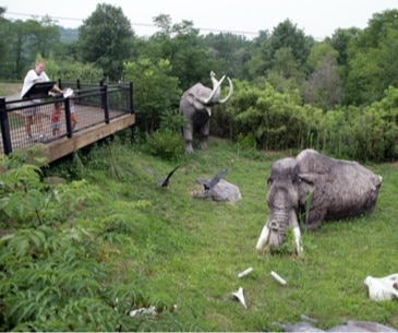Image : Big Bone Lick State Historic Site
