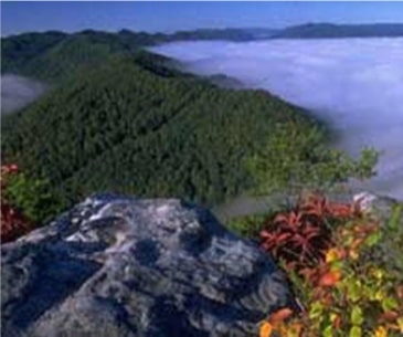 Image : Cumberland Gap National Historical Park