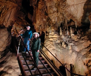 Image : Mammoth Cave National Park