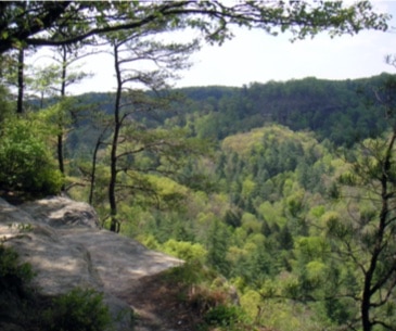 Image : Red River Gorge
